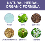 3 Days Aati Fungal Rash Cream, Repair Skin Barrier Soothe Moss Redness And Itchiness Moisturizing Skin Care Cream - V.I.P Digital Presence