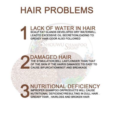 Polygonum Multiflorum Shampoo Cake, Nourishing Root Essential Oil Shampoo Black Soothing Vegetable Shampoo - V.I.P Digital Presence