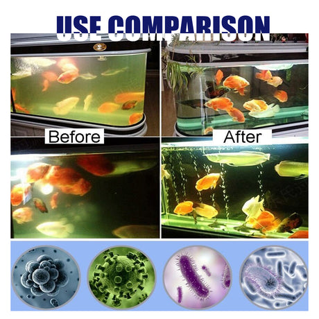 Algae Removal, Aquarium Cleaning Agent Algae Removal Moss Fish Tank Moss Removal Agent Algae Removal From Green Water - V.I.P Digital Presence