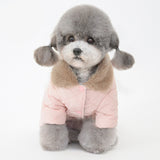 Winter New Pet Cotton Coat Dog Cotton Coat Dog Clothes Pet Clothes Dog Clothes Teddy Clothes - V.I.P Digital Presence
