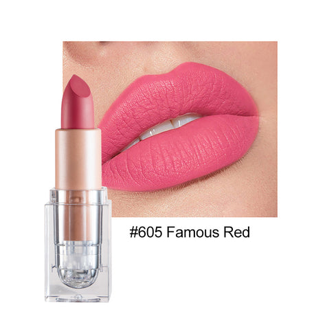 HANDAIYAN Matte Lipstick 12 Color Lipstick Not Easy To Fade Nude Pink Lipstick - V.I.P Digital Presence