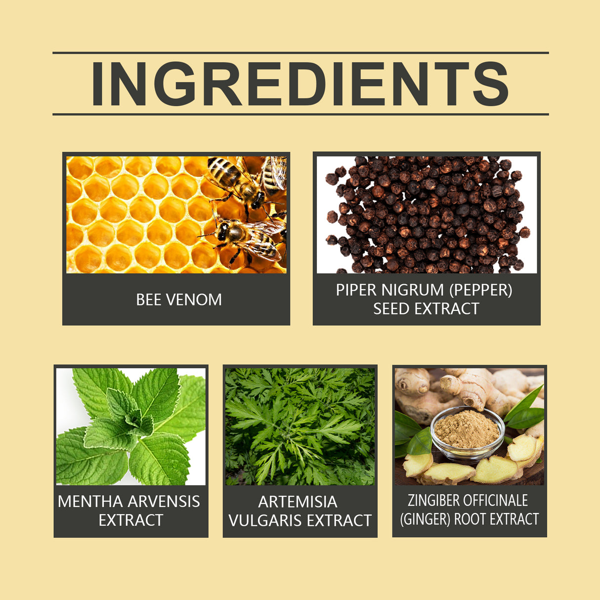 Bee Venom Lymphatic Drainage Weight Loss Patch, Lymphatic Slimming Paste Shaping Slimming Digestion Health Vitality Detumescence Care Body Shaping Considerate - V.I.P Digital Presence