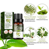 Tea Tree Essential Oil, Repair Acne Pore Shrinkage Hydrating Face Care Essential Oil