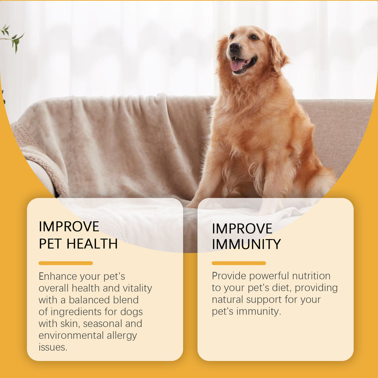 Dog Body Care Drops, Care And Relieve Pet Body Discomfort Nutritional Care Supplements - V.I.P Digital Presence