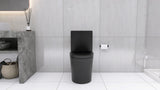 Matte Black Elongated One Piece Toilet Dual Flush 1.1/1.6 GPF Water Saving Map 1000g,Matte Black - V.I.P Digital Presence