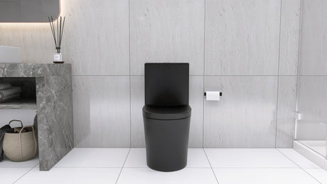 Matte Black Elongated One Piece Toilet Dual Flush 1.1/1.6 GPF Water Saving Map 1000g,Matte Black - V.I.P Digital Presence
