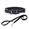 Nylon Dog Collar and Leash Set Pet Collars Leash for Small Medium Large Dogs Dog Accessories for Small Dogs - V.I.P Digital Presence