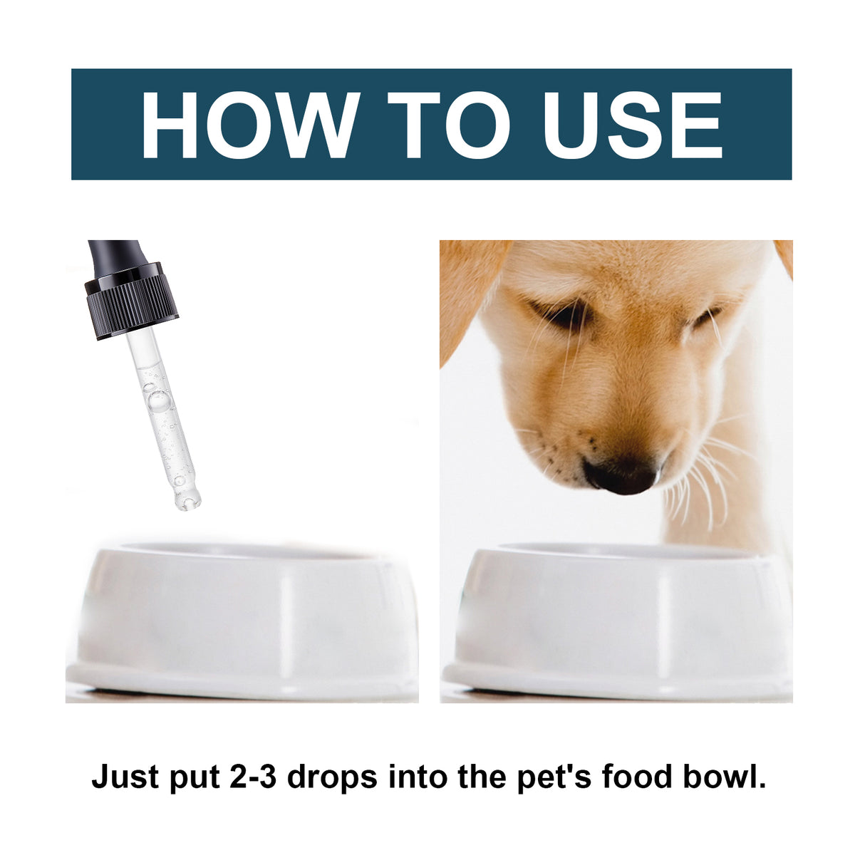 Pet Immune Oral Drops, Special Nutritional And Immune Health Drops For Cats And Dogs - V.I.P Digital Presence