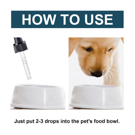 Pet Immune Oral Drops, Special Nutritional And Immune Health Drops For Cats And Dogs - V.I.P Digital Presence
