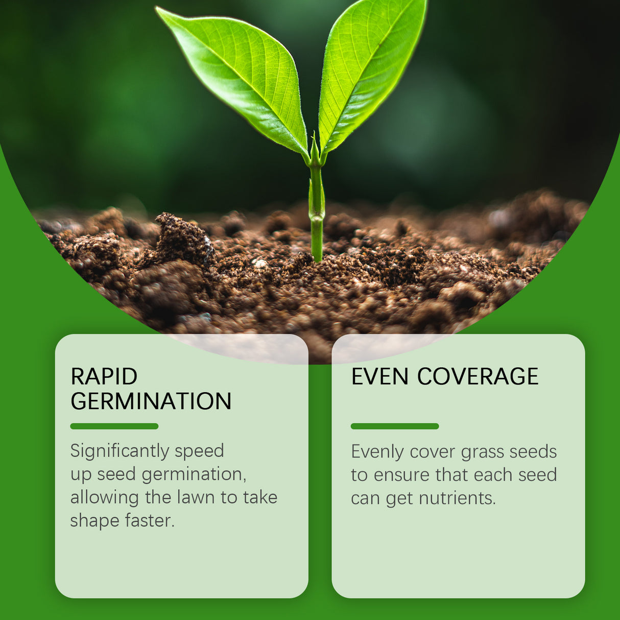 Liquid Lawn Green Spray Flowers And Fruit Trees Green Grass Grass Plant Spray - V.I.P Digital Presence