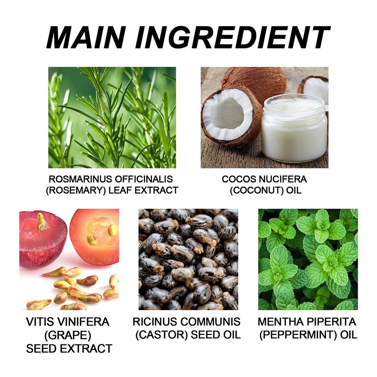 Rosemary Essential Oil, Repair Solid Hair Strong And Moisturizing Hair Roots Thick And Supple Hair Care Essential Oil - V.I.P Digital Presence