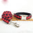 Traction Belt Dog Leash Pet Collar - V.I.P Digital Presence
