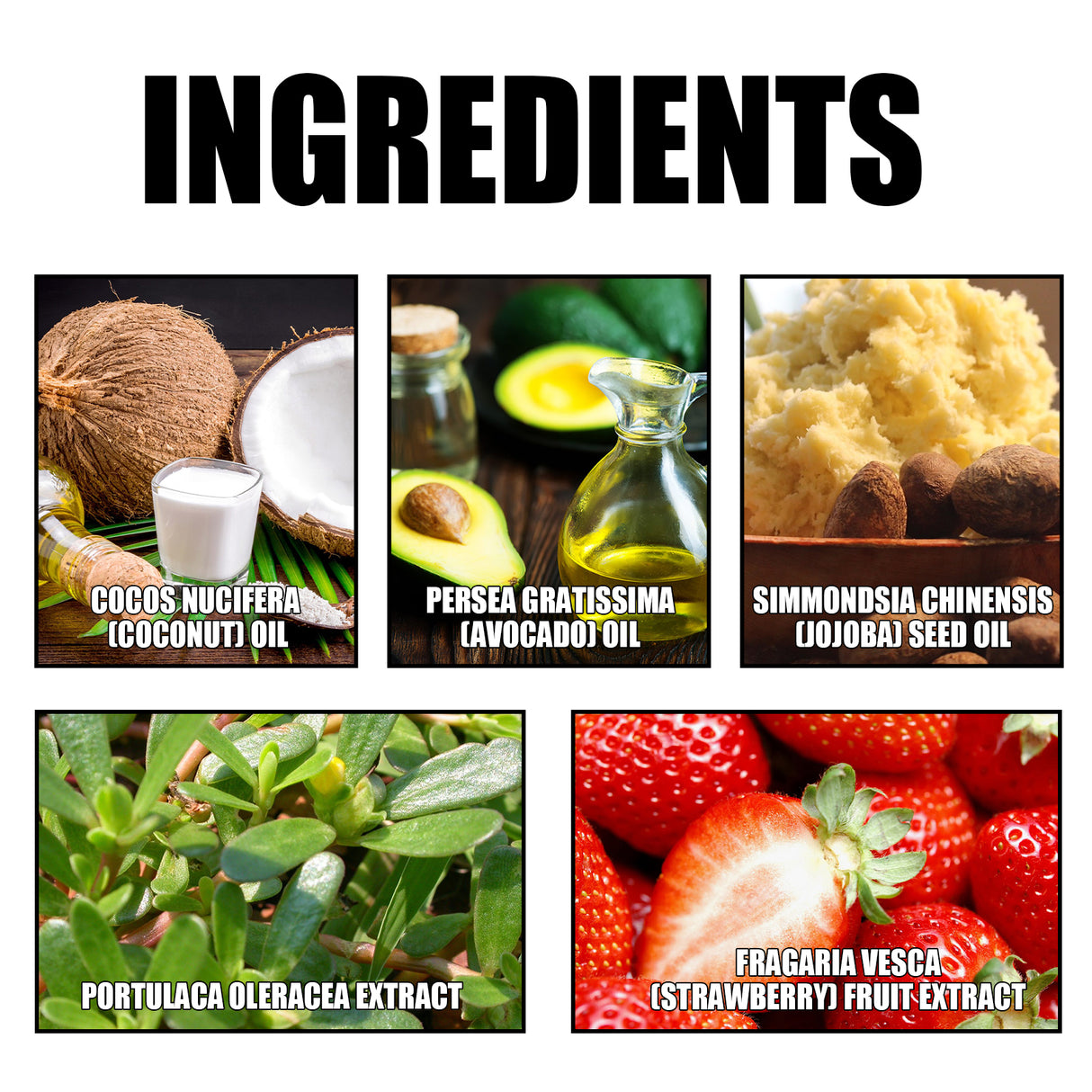 Lip Scrub, Lip Wrinkles Dry Dead Skin Moisturizing Toot Lips Moist Lips Lip Care - V.I.P Digital Presence