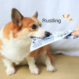 Pet Dog Sound Toy Crinkle Paper Simulation Boredom Buster Durable Chew Tooth Cleaning Interactive for Corgi Teddy Puppy - V.I.P Digital Presence