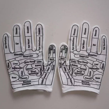 Acupoint diagram massage gloves cotton English acupoint diagram gloves for men and women TCM human body meridian gloves - V.I.P Digital Presence