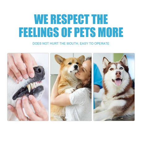 Pet Toothpaste, Fresh Breath Bad Breath Tartar Clean Dog And Cat Oral Care Edible Toothpaste - V.I.P Digital Presence