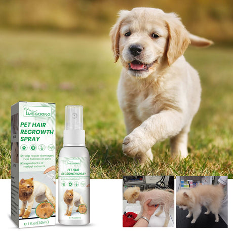 Pet Hair Growth Spray for Cats and Dogs - Hair Care Treatment for Damaged Follicles and Hair Loss - V.I.P Digital Presence