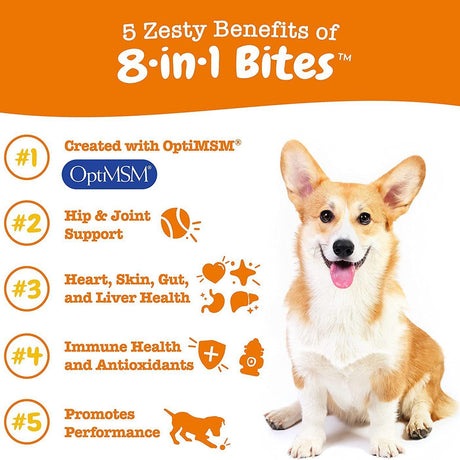 Pet Vitamin Health Product: Multi-Functional Nutritional Supplement for Dogs - V.I.P Digital Presence