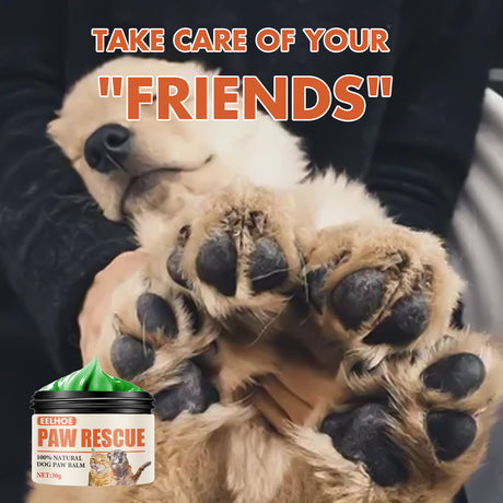 Pet Paw Balm For Cats And Dogs Foot Pad Protective Oil Soothes And Moisturizes And Cures Dry And Cracked Feet - V.I.P Digital Presence