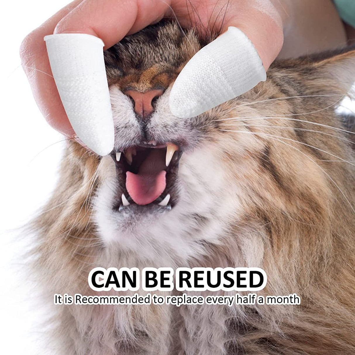 Pet Finger Toothbrush for Dogs and Cats Oral Care Tool Small Cat Finger Toothbrush Grooming Supplies - V.I.P Digital Presence