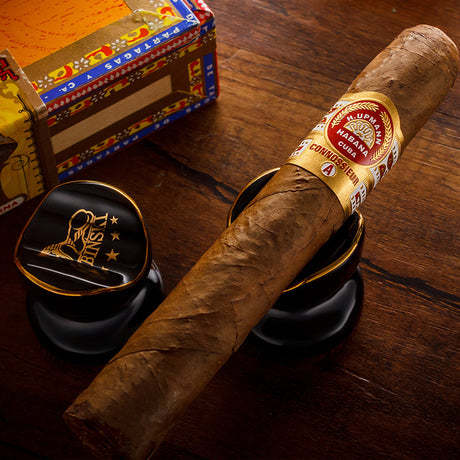 Cigar holder ceramic cigar holder Rubinsky portable cigar holder 1 box 2 pieces - V.I.P Digital Presence