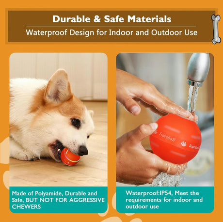 SmartRoll Pet Ball - V.I.P Digital Presence