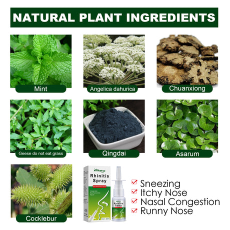 Nasal Litong Spray Gentle Nasal Cleansing To Relieve Nasal Discomfort Body Care Spray - V.I.P Digital Presence