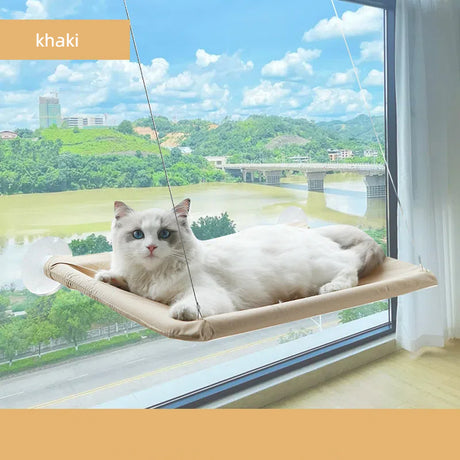 Upgrade cat hammock four season pet bed suction cup hanging cat bed folding window sill cat bed pet supplies - V.I.P Digital Presence