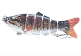 10cm 16.5g Multi-section Lure With Ring Beads Simulation Luya Multi-section Lure Submerged Bionic 6-section Lure - V.I.P Digital Presence