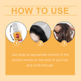 Leave-In Dry Hair Spray - V.I.P Digital Presence