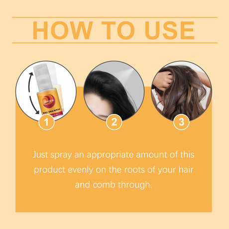 Leave-In Dry Hair Spray - V.I.P Digital Presence