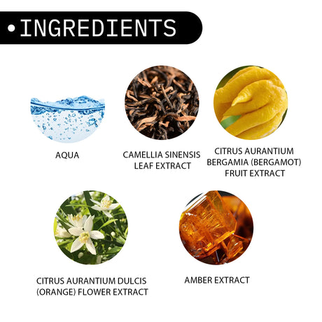 Magnet Pheromone, Lasting Fragrance Elegant Natural Fragrance Not Pungent Men's Charm Dating Perfume - V.I.P Digital Presence