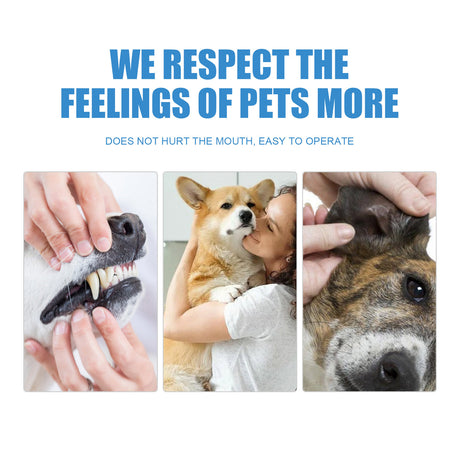 Pet Dental Finger Wipes, Bad Breath Tartar Teeth Yellow Dog Clean Mouth Care Finger Cover - V.I.P Digital Presence