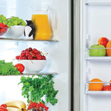 Penguin refrigerator deodorizer box deodorant plastic box refrigerator deodorizer household preservative box - V.I.P Digital Presence