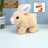 2025 Upgraded Interactive Bunny Toy. Hops, walks, talks, shakes ears. Plush Gift for Kids (Grey). - V.I.P Digital Presence