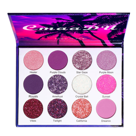 CmaaDu 12 Color Eyeshadow Palette Shiny Eyeshadow Makeup Matte and Metallic Glitter Makeup - V.I.P Digital Presence