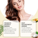 Rosemary Hair Care Essential Oil Soft Luster Hair Solid Dry Hair Fluffy Hair Care Scalp Essential Oil - V.I.P Digital Presence