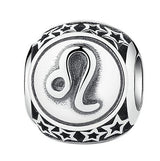 BAMOER 925 Sterling Silver Aquarius Star Sign Zodiac Beads Charms fit Bracelets PSC048 - V.I.P Digital Presence