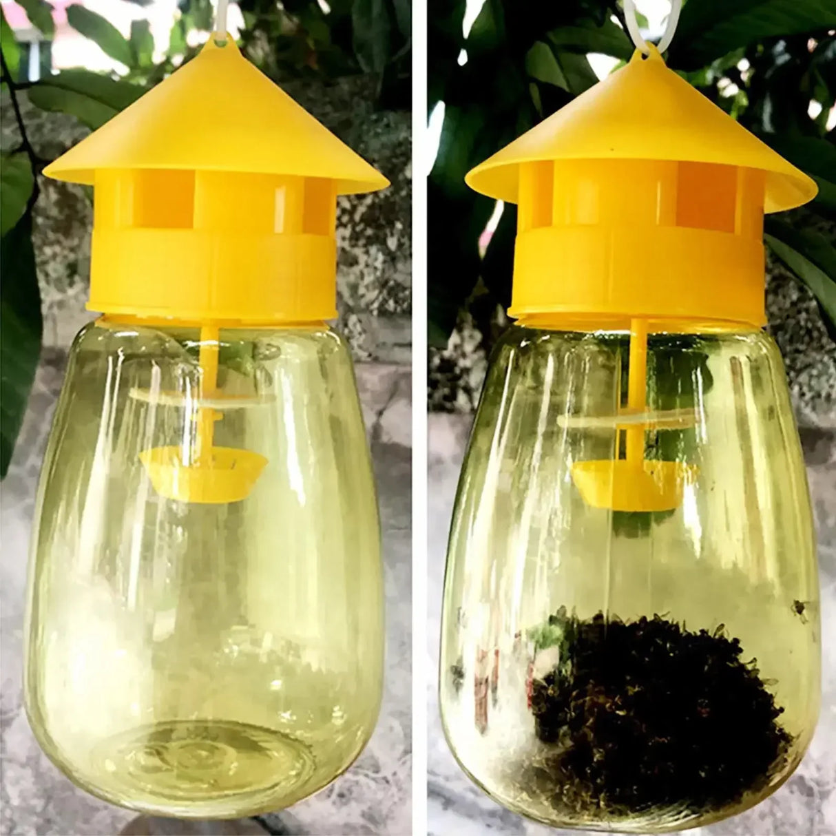 Fruit Fly Trap Killer Plastic Drosophila Trap Anti Fly Fruit Fly Killer Catcher Orchard Insect Trap Pest Control Products Drop - V.I.P Digital Presence