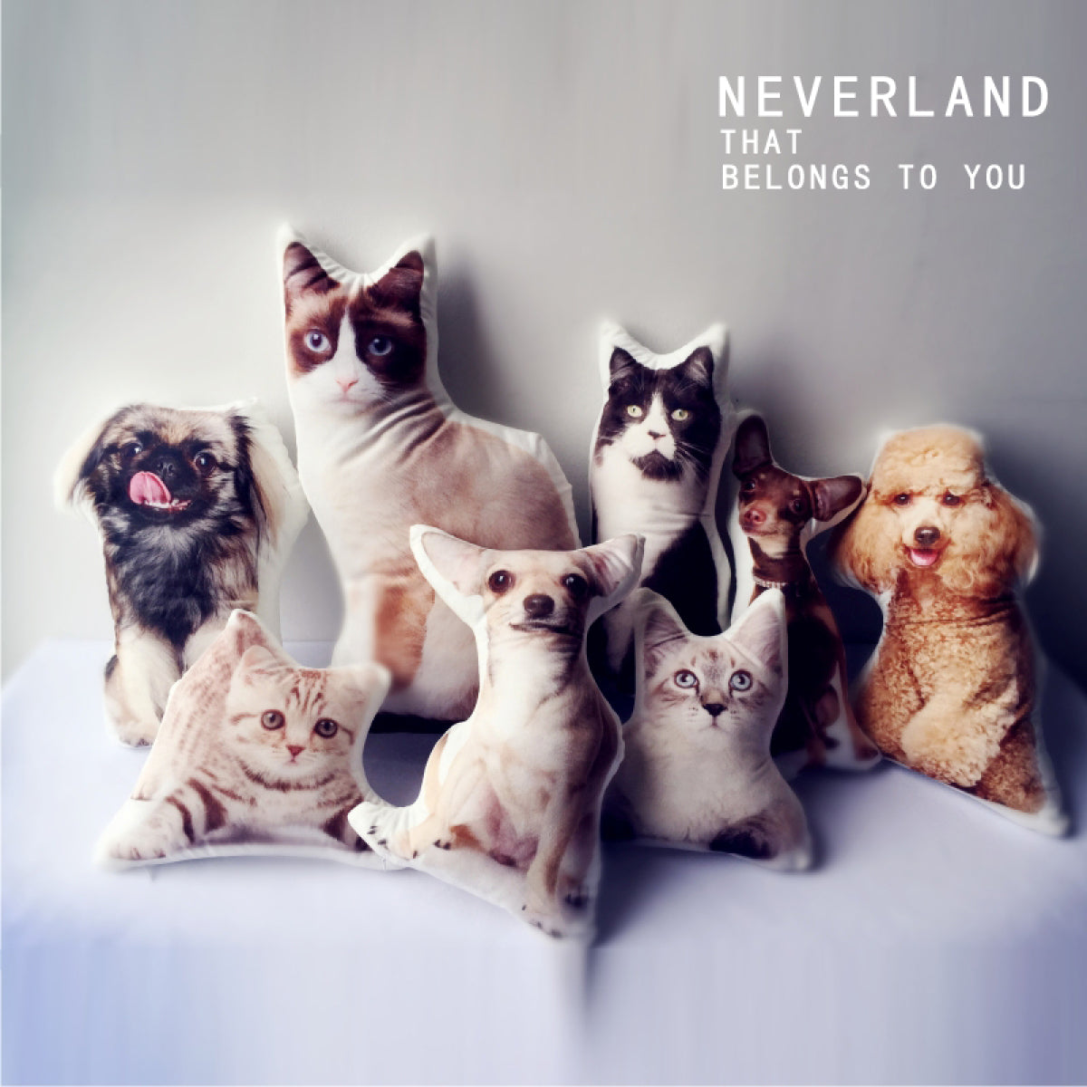 Cute Pet Shaped Pillow Custom To Map Custom DIY Sofa Cushion Car Pillow