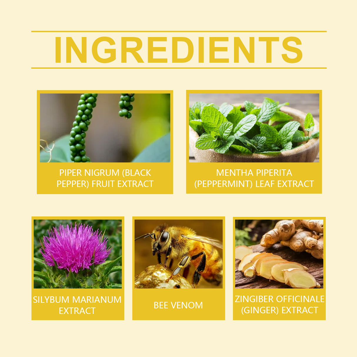 Bee Venom Beauty Considerate, Lazy Body Beauty Navel Patch Ginger Essence Moisturizing Firming Skin Care Body Care Patch - V.I.P Digital Presence