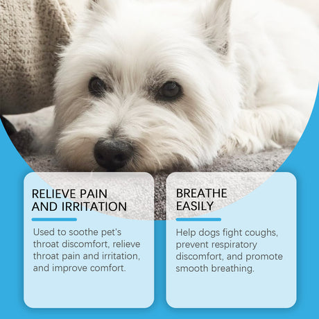 Dog Syrup, Pet Dogs Absorb Nutrition Care Health Special Maintenance Supplement Syrup - V.I.P Digital Presence