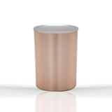 Car mounted cold and hot cup, dual-purpose quick cooling cup for car and home, intelligent cooling cup for car, quick cooling cu - V.I.P Digital Presence