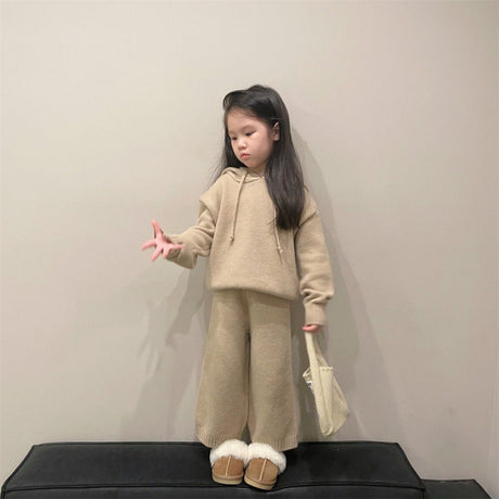 Small And Medium-Sized Children's Korean Children's Sweater Suit Winter Boys And Girls' Thick Hooded Knitting Two-Piece Set - V.I.P Digital Presence