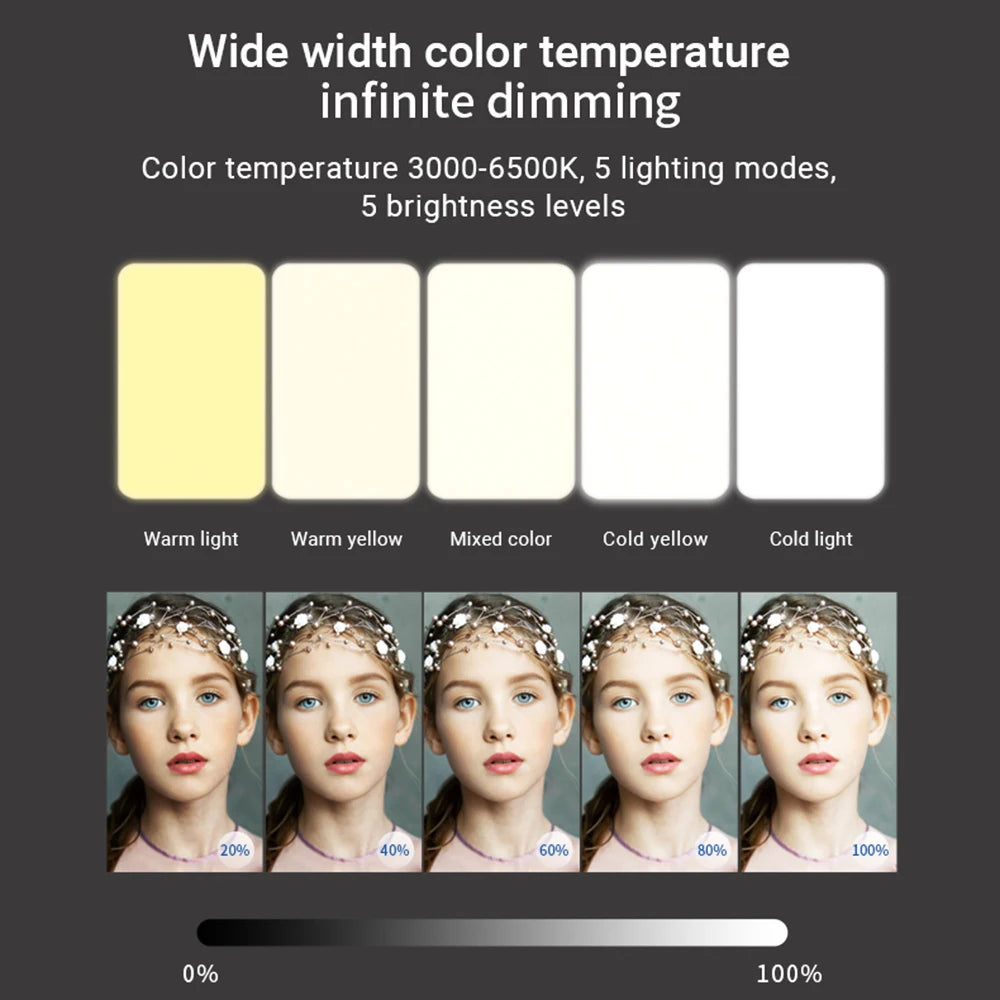 Mobile phone fill light 5 color temperature mini portable live video conference fill light - V.I.P Digital Presence