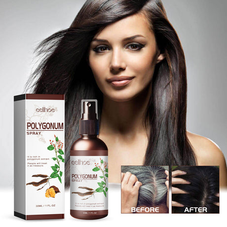 Polygonum Spray, Moisturizing Hair Smooth Shine Thick Solid Hair Black Hair Conditioning Spray - V.I.P Digital Presence