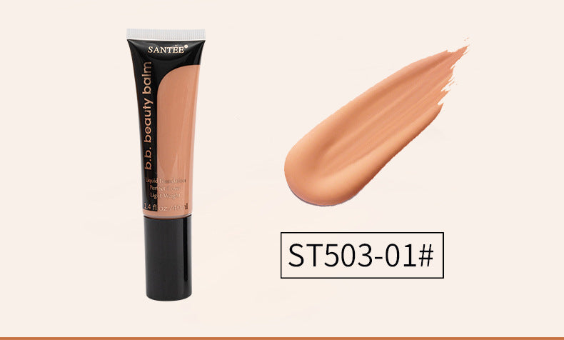 Long-Lasting Concealer Foundation Moisturizing Natural Color Powder Foundation - V.I.P Digital Presence