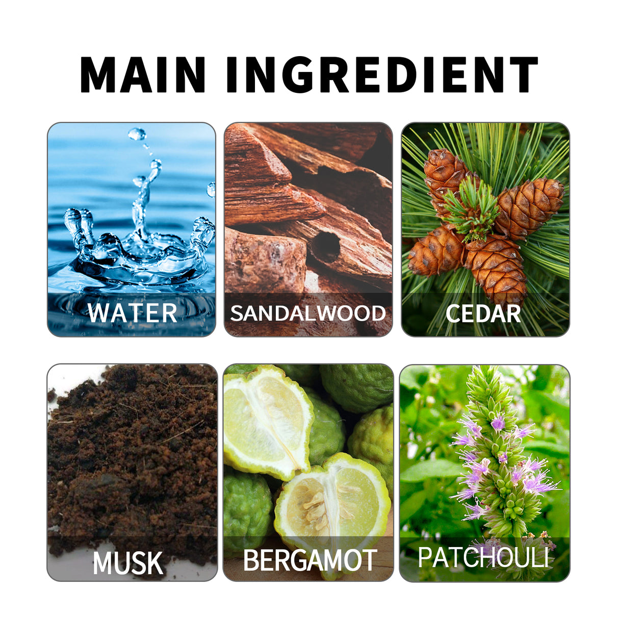 Opposite Sex Attraction Perfume, Natural Fresh Lasting Fragrance Release Charm Couple Dating Atmosphere Perfume - V.I.P Digital Presence