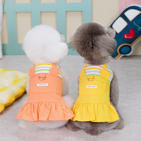 New striped patchwork skirt for pet products - V.I.P Digital Presence