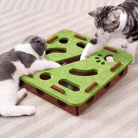 Felt puzzle toys, puzzle boxes, ball motion toys for indoor cat exercise, entertainment and hunting. - V.I.P Digital Presence